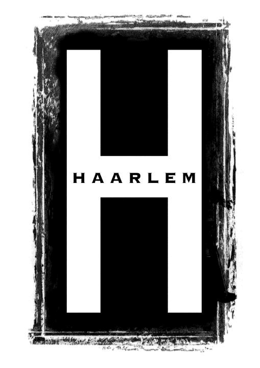 Das Bild zeigt das Logo vom Friseursalon Haarlem