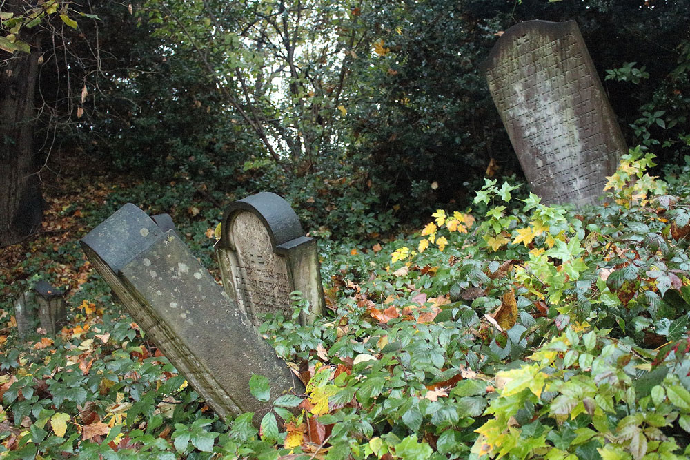 Auf dem Bild sind Grabsteine auf dem jüdischen Friedhof in Siegburg zu sehen